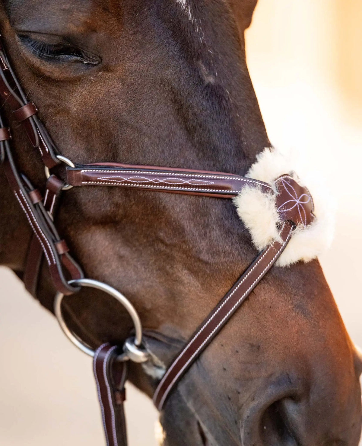 Huntley Equestrian Sedgwick Leather Padded Monocrown Figure 8 Bridle