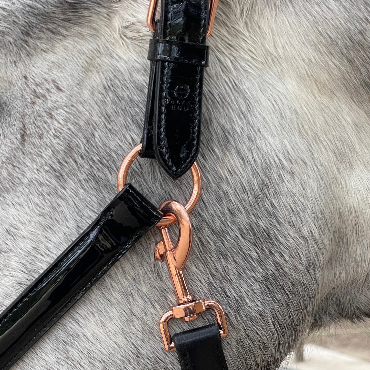 Halter Ego - Aurelia - Black Patent Conical Padded Halter with Rose Gold Piping