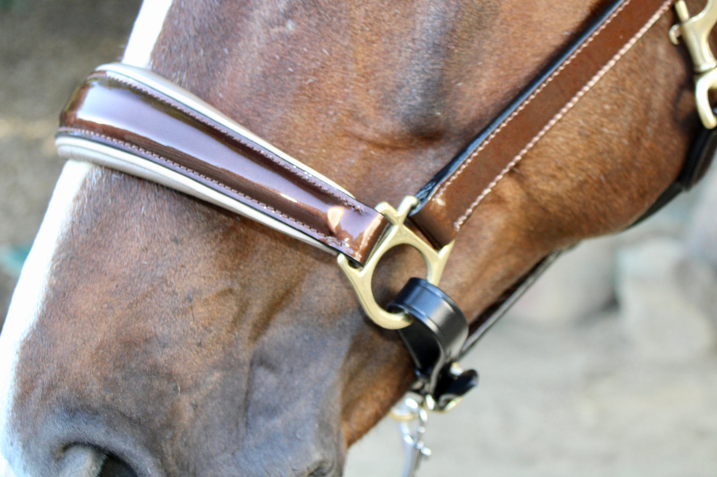 Halter Ego - Catalonia Metallic Bronze Black Leather Halter