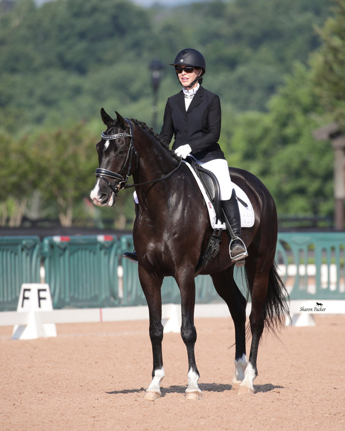 Halter Ego - The Eiffel Tower Black Leather Snaffle Bridle