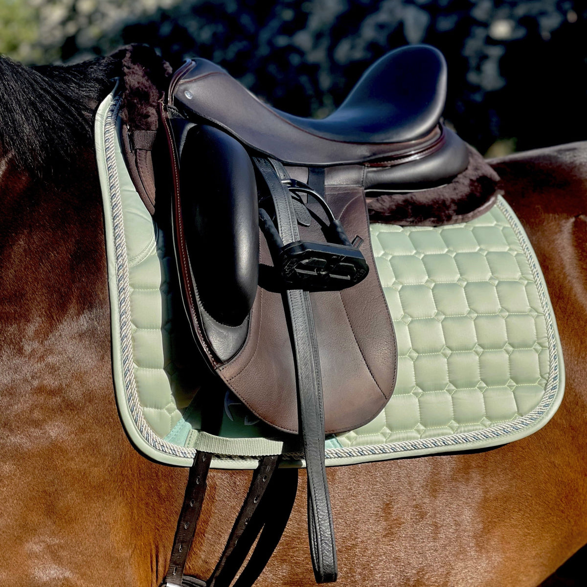 Halter Ego - Satin Classic Dressage Saddle Pad - Mint Sorbet