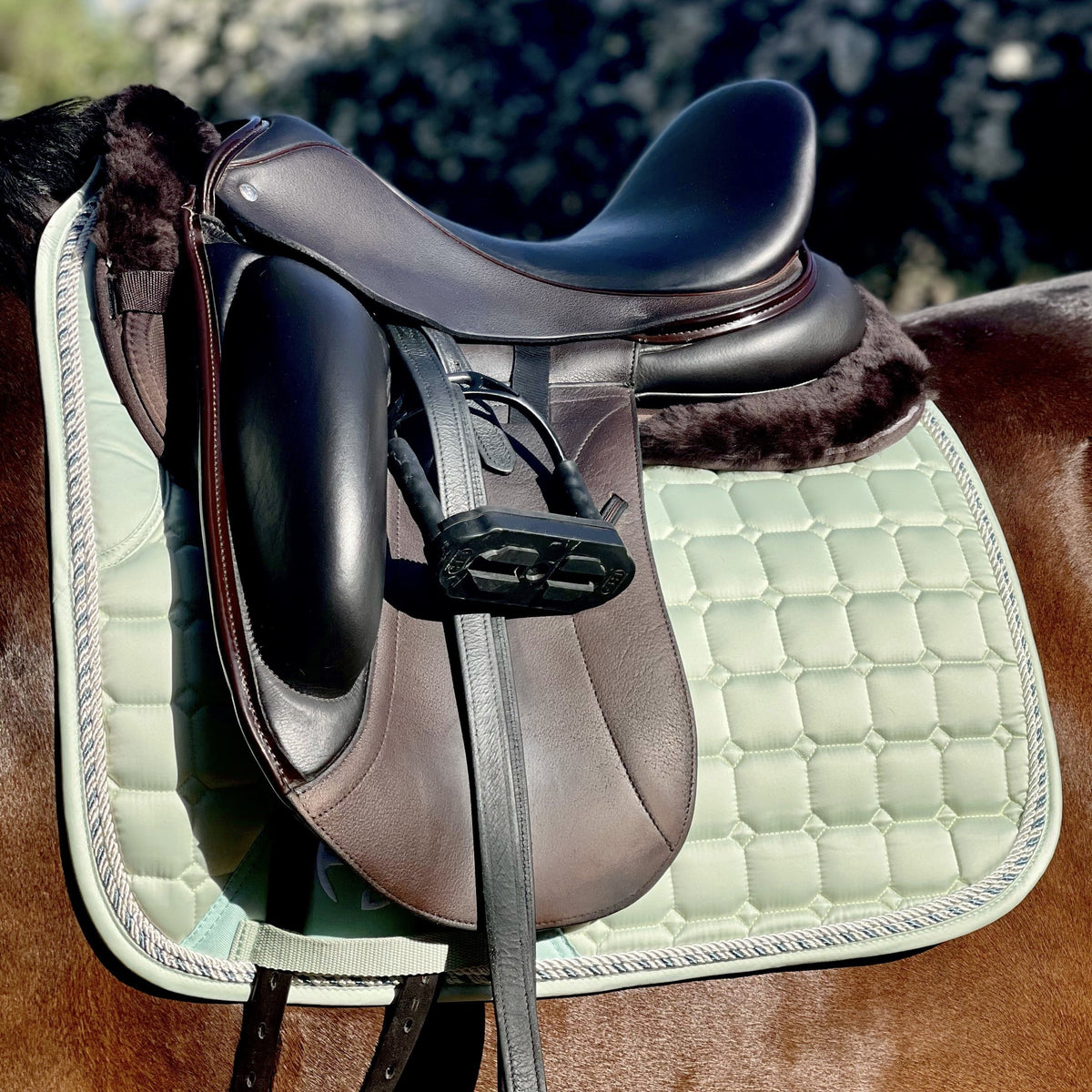 Halter Ego - Satin Classic Dressage Saddle Pad - Mint Sorbet