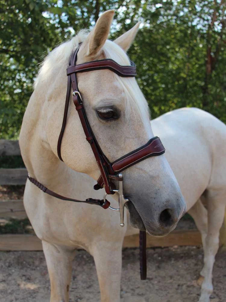 Grewal Equestrian - Santorini Snaffle Bridle