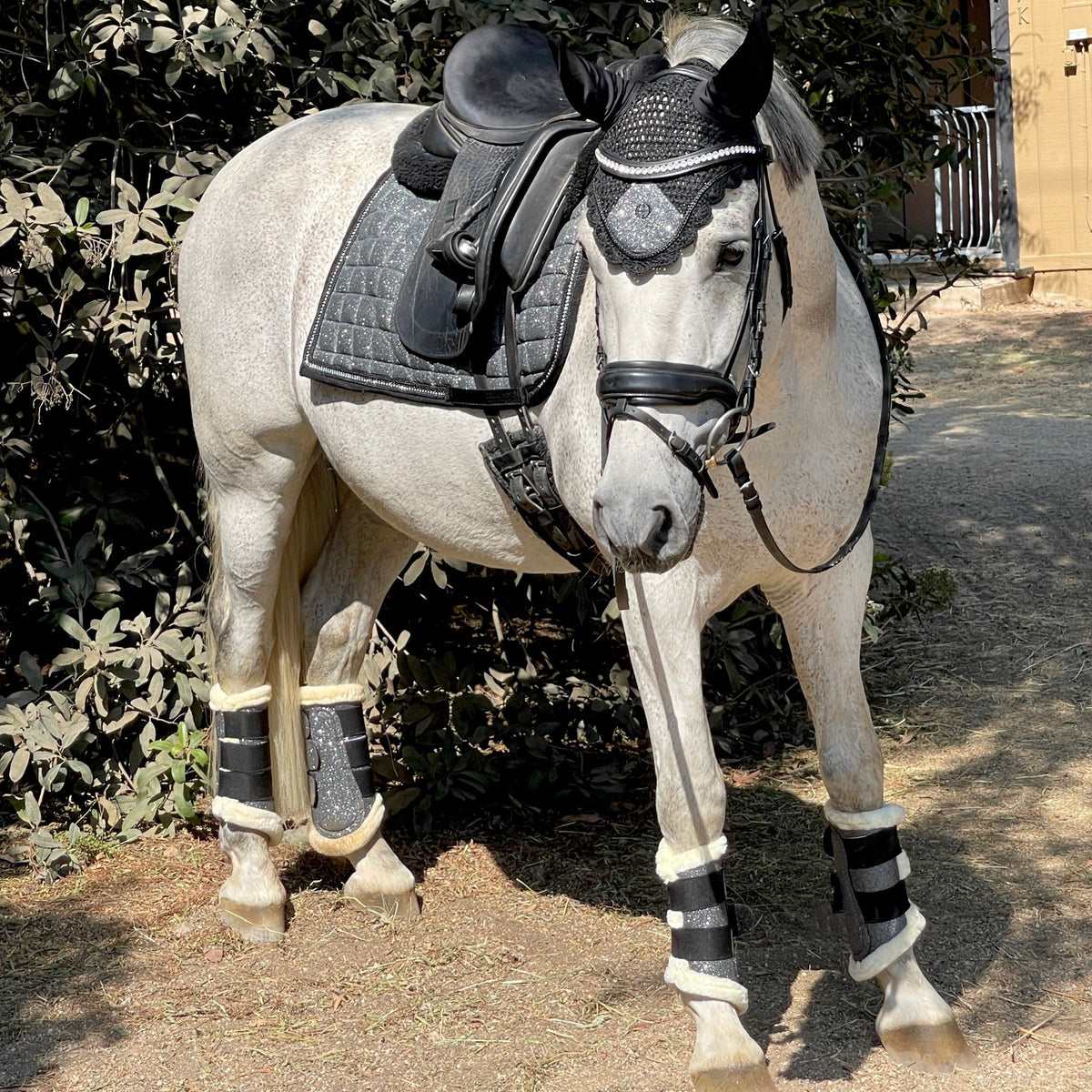 Halter Ego - Gunmetal Glitter Brushing Boots