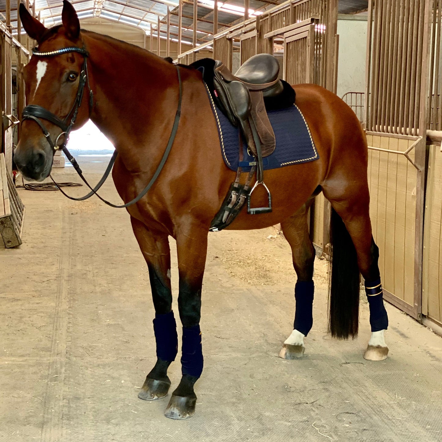 Halter Ego - Halter Ego Navy & Gold Fleece Bandages