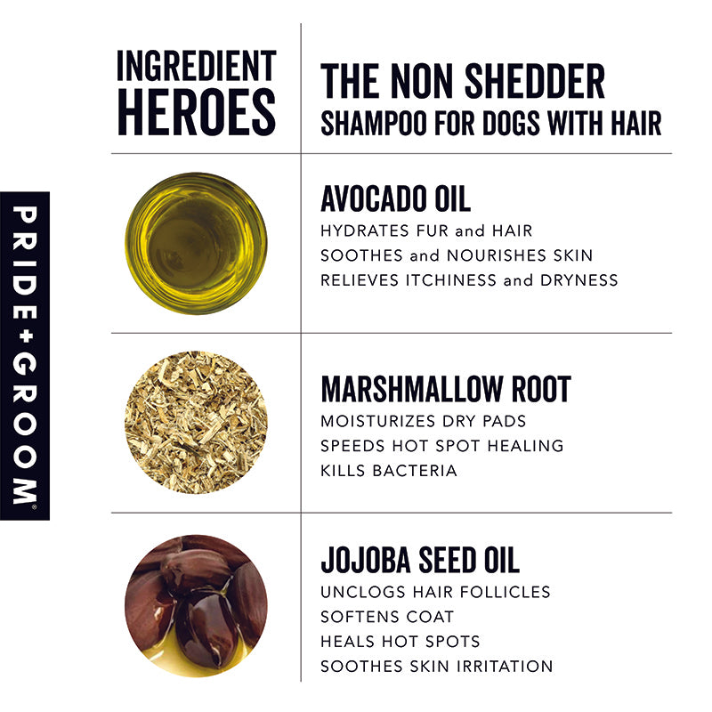 PRIDE+GROOM THE NON SHEDDER Dog Shampoo — Hydrating, Detangling, Hypoallergenic Formula for Doodles and all Non-Shedding Breeds