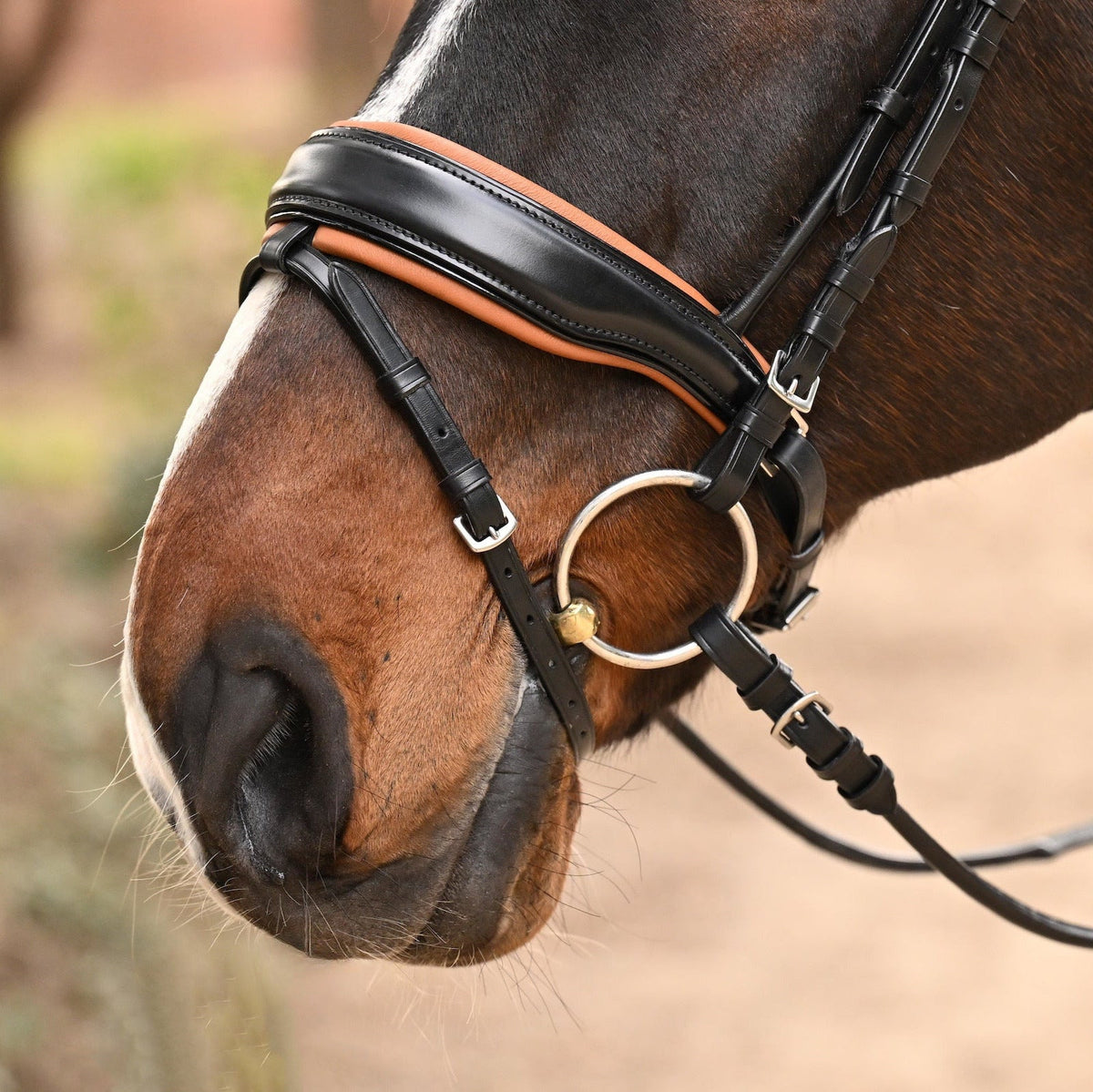 Halter Ego - The Tuscany Black Leather Rolled Leather Snaffle Bridle with Removable Flash
