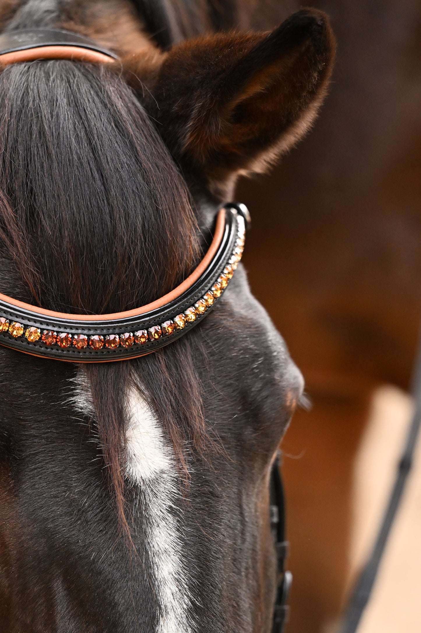 Halter Ego - The Tuscany Black Leather Rolled Leather Snaffle Bridle with Removable Flash