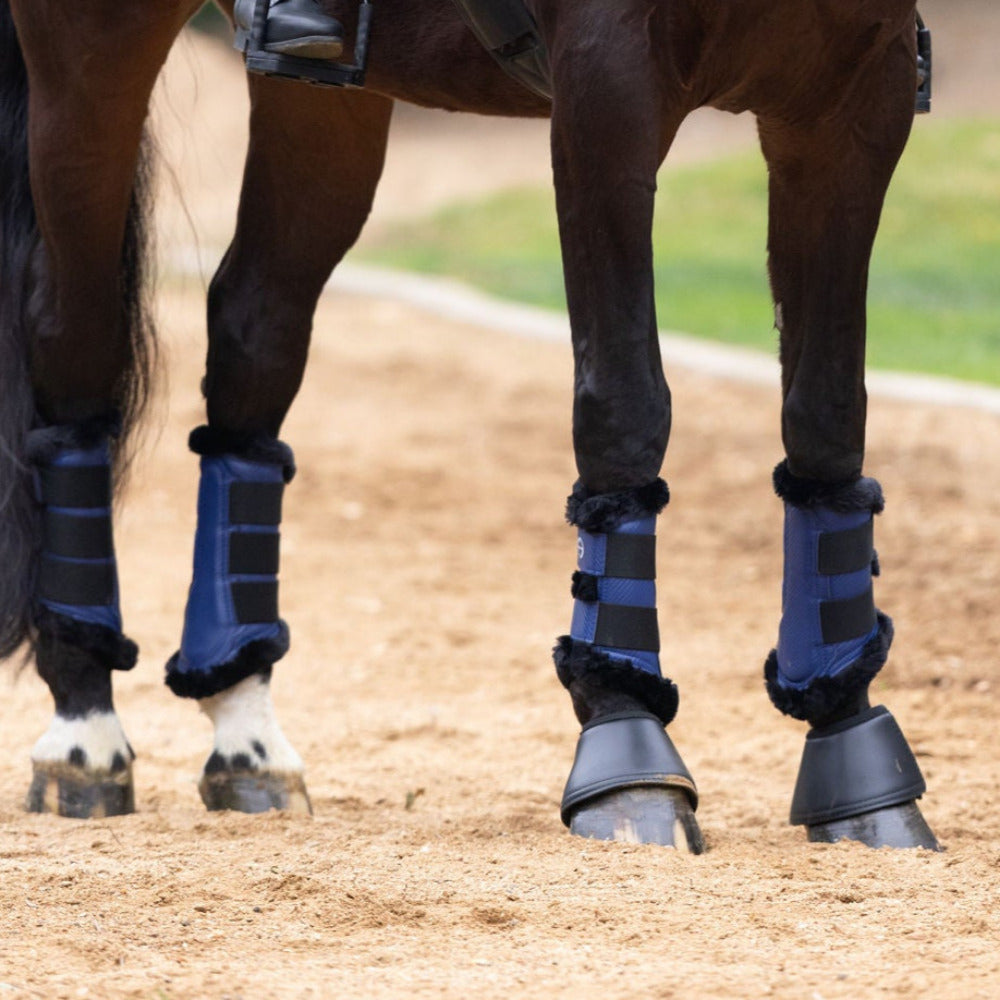 Halter Ego - Brushing Boots - Royal Blue