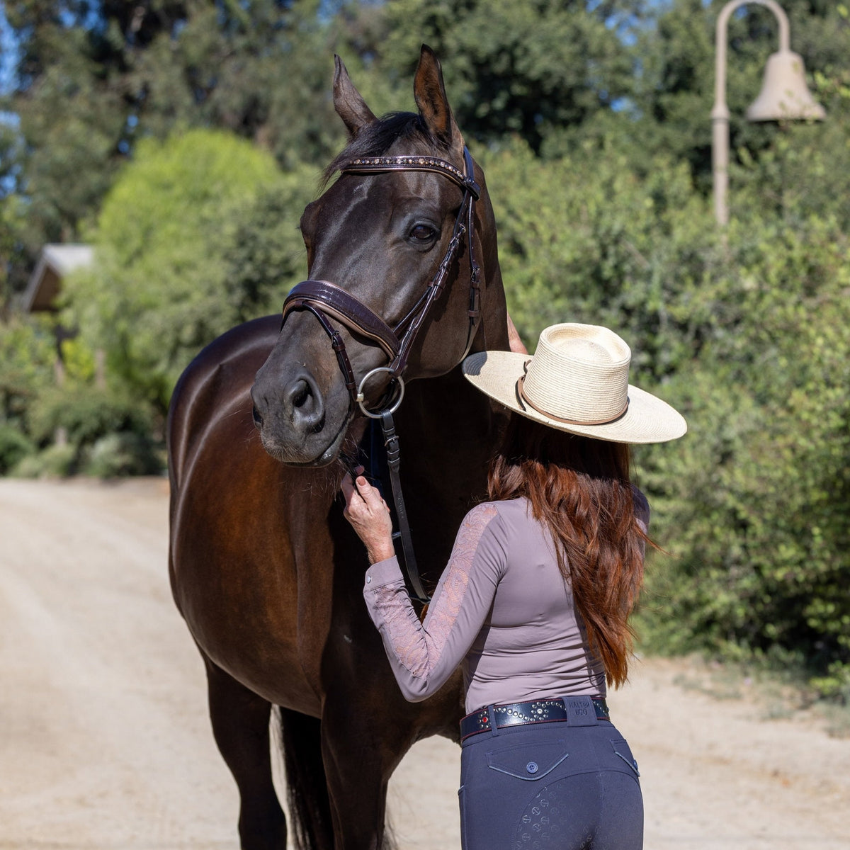 Halter Ego - The Sun King Brown Patent Leather Snaffle Bridle