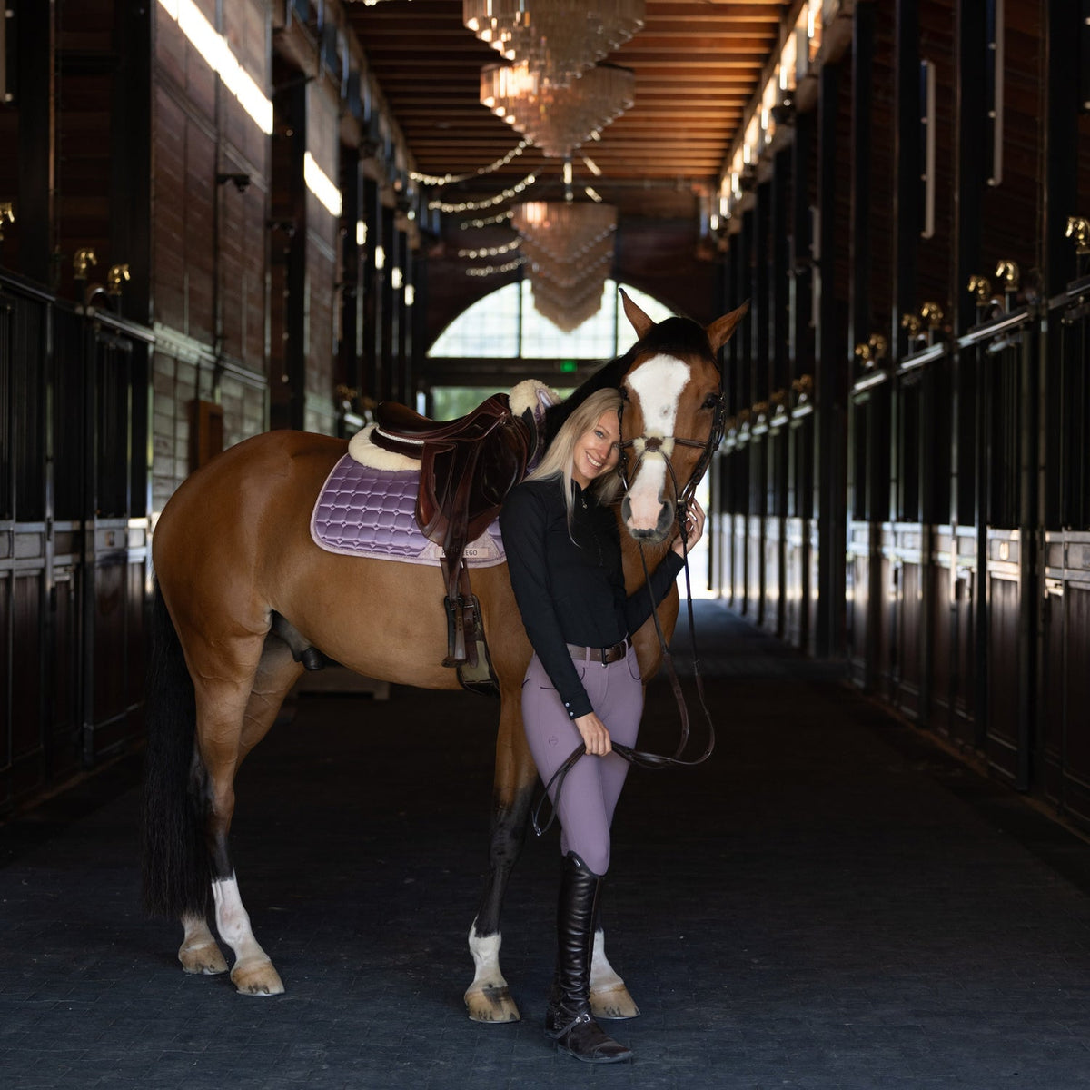 Halter Ego - Evolution Knee Patch Breeches - French Lilac