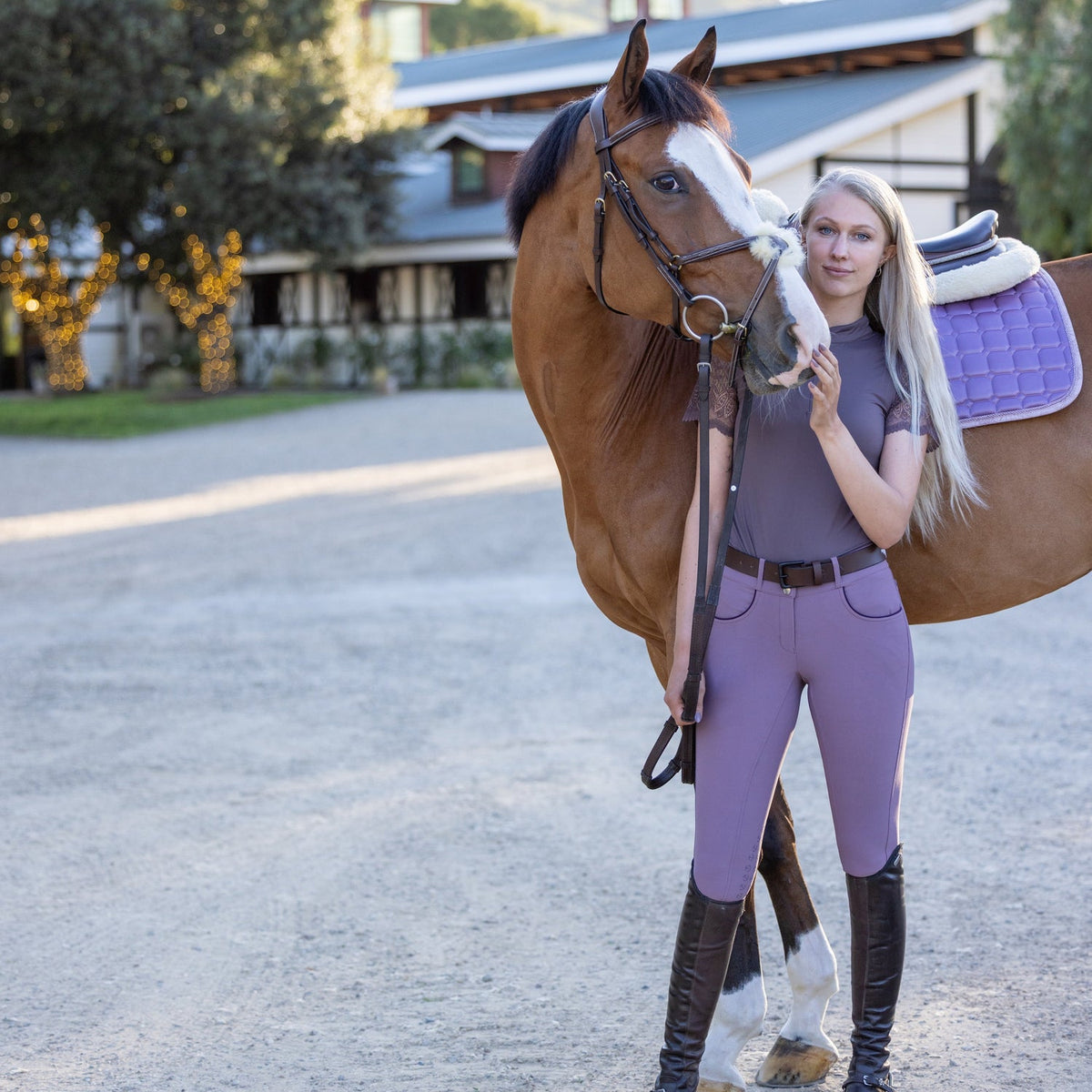 Halter Ego - Evolution Knee Patch Breeches - French Lilac