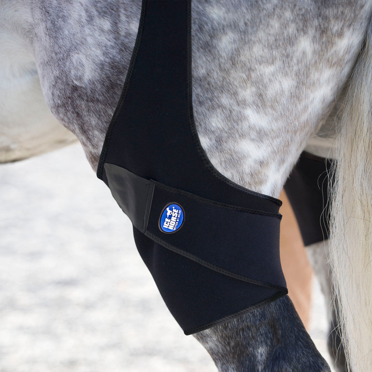 Ice Horse - Stifle Wraps
