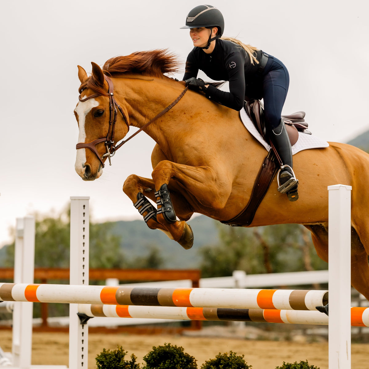 Halter Ego - Nadia - Long Sleeve Riding Shirt
