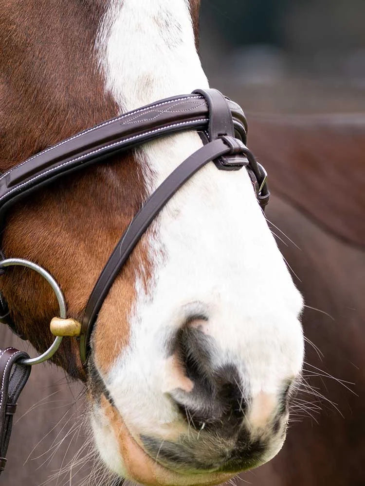 Grewal Equestrian - Marco Simone Italian Leather Monocrown Bridle