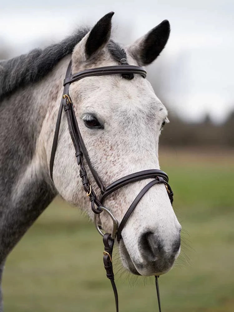 Grewal Equestrian - Murphy's Classic Bridle