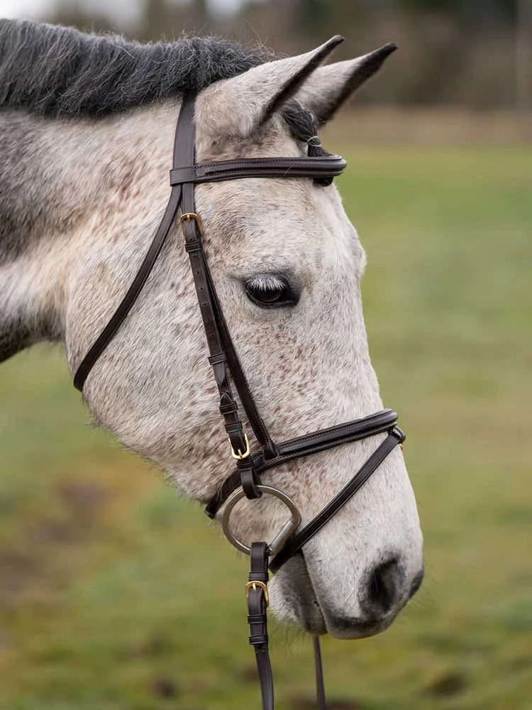 Grewal Equestrian - Murphy's Classic Bridle