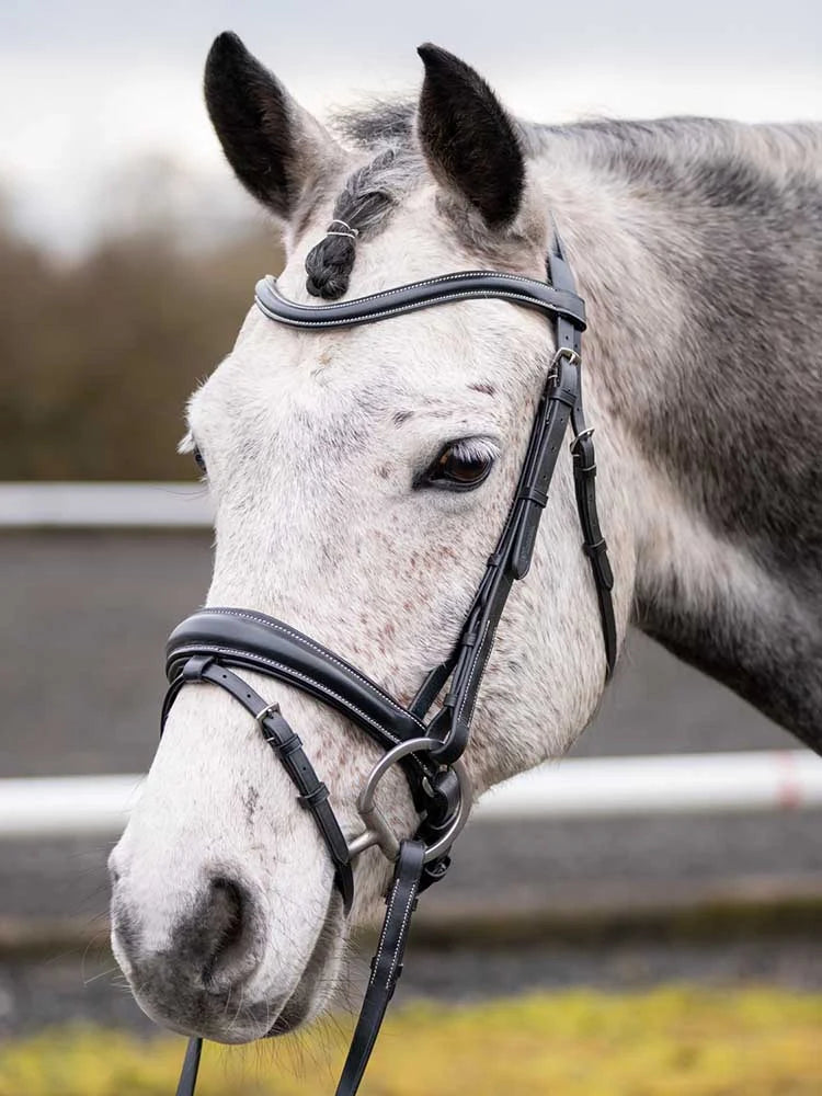 Grewal Equestrian - Quail Hollow Round Raised Snaffle Bridle