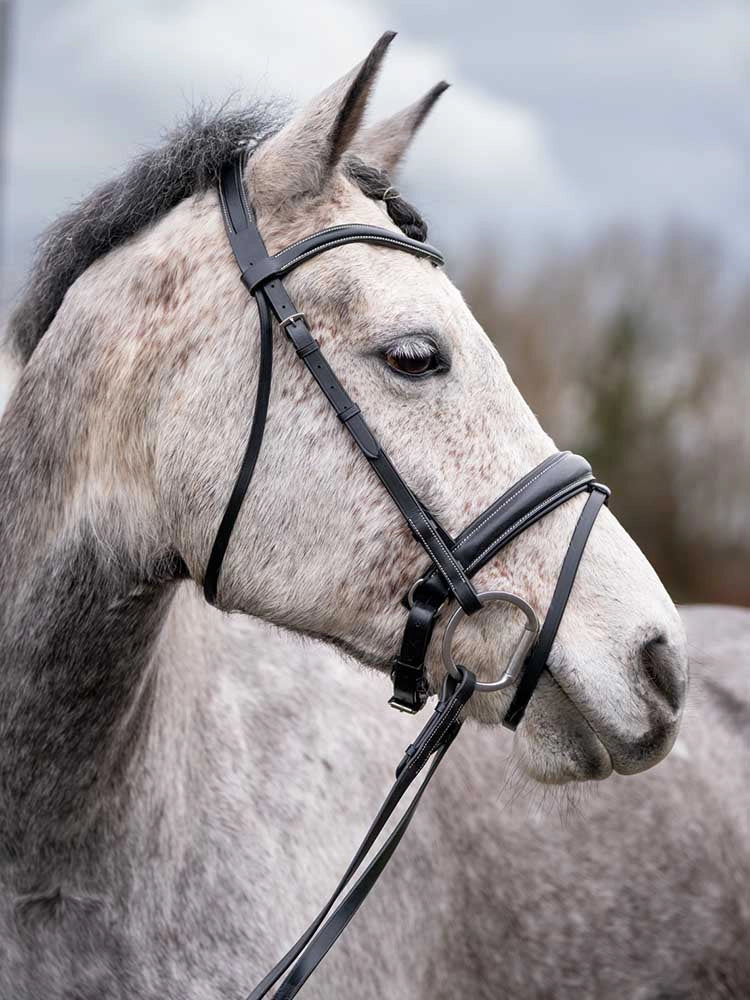 Grewal Equestrian - Quail Hollow Round Raised Snaffle Bridle