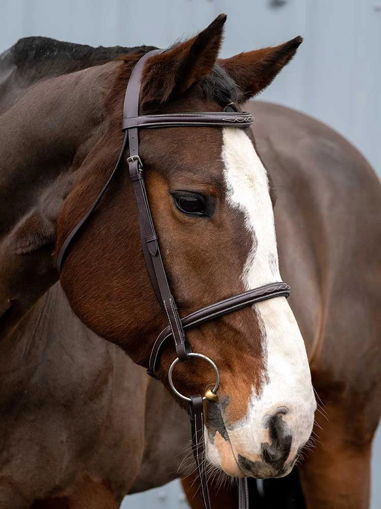 Grewal Equestrian - Royal Liverpool Round Raised Hunter Bridle