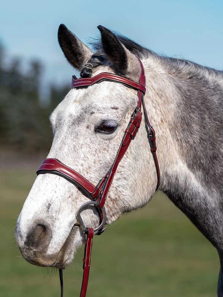 Grewal Equestrian - Santorini Snaffle Bridle
