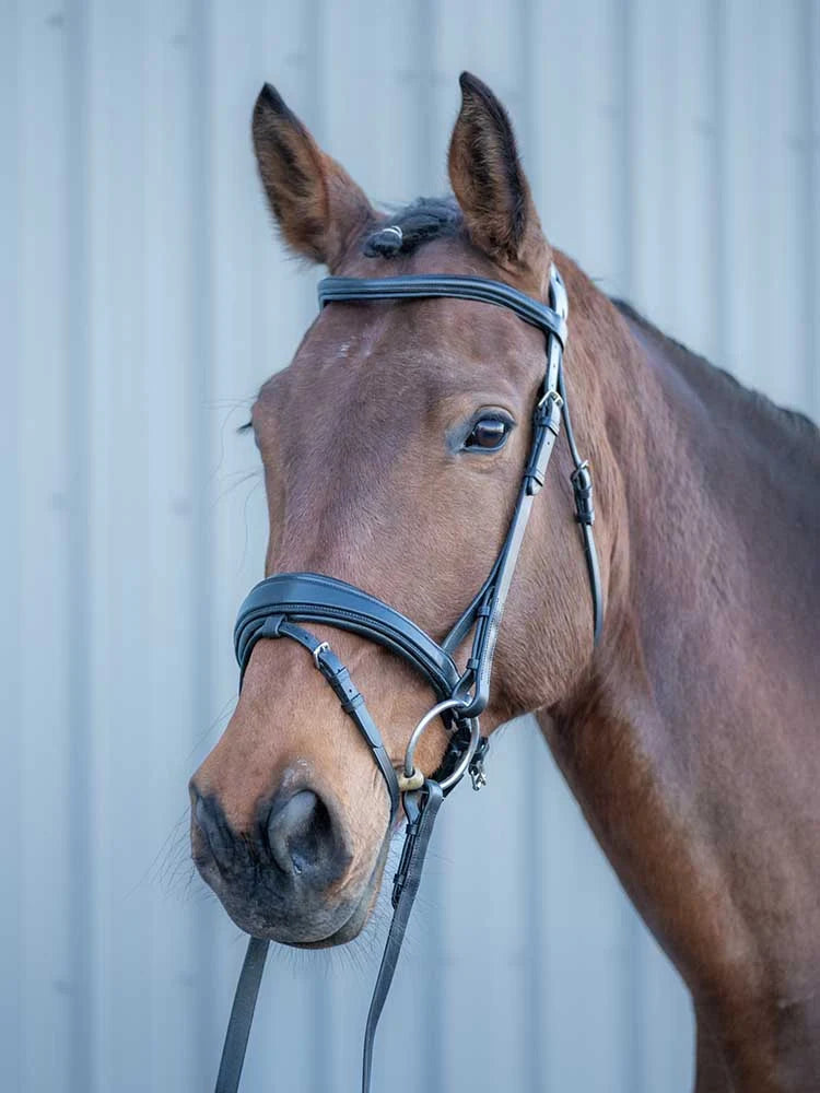 Grewal Equestrian - Southport Dressage Bridle