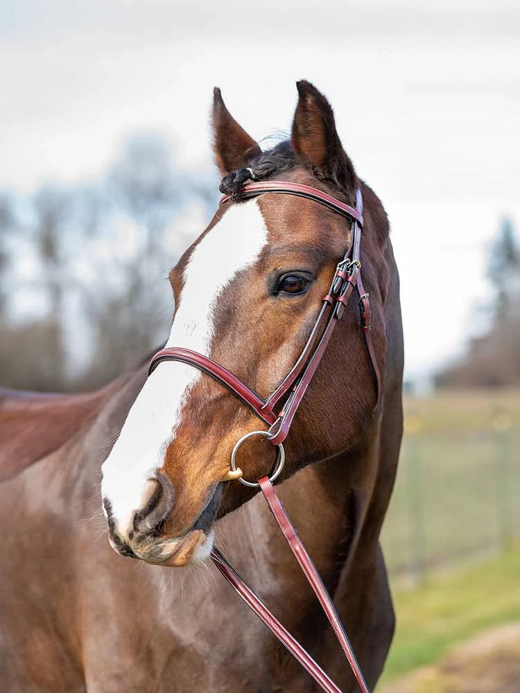 Grewal Equestrian - Spanish Bay Round Raised Hunter Bridle