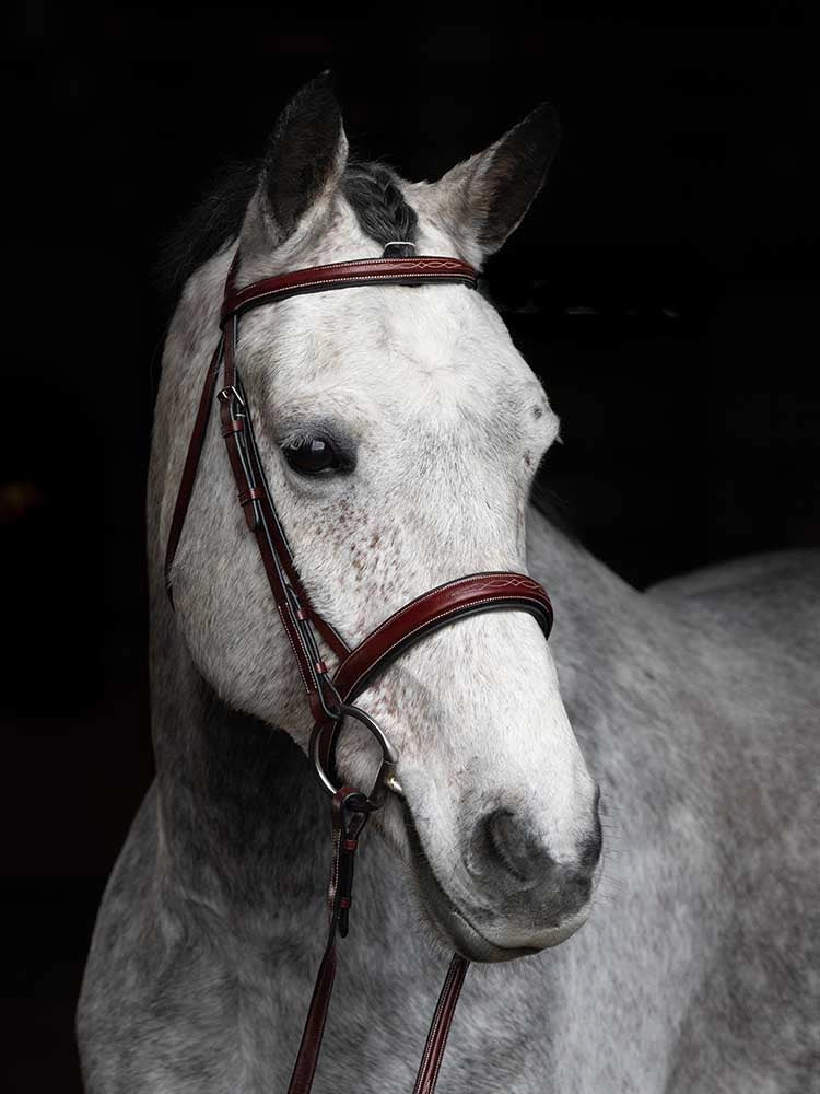 Grewal Equestrian - St. Andrews Square Raised Hunter Bridle
