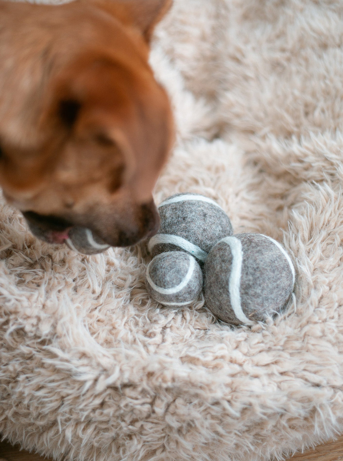 MODERNBEAST Wool Tennis Ball