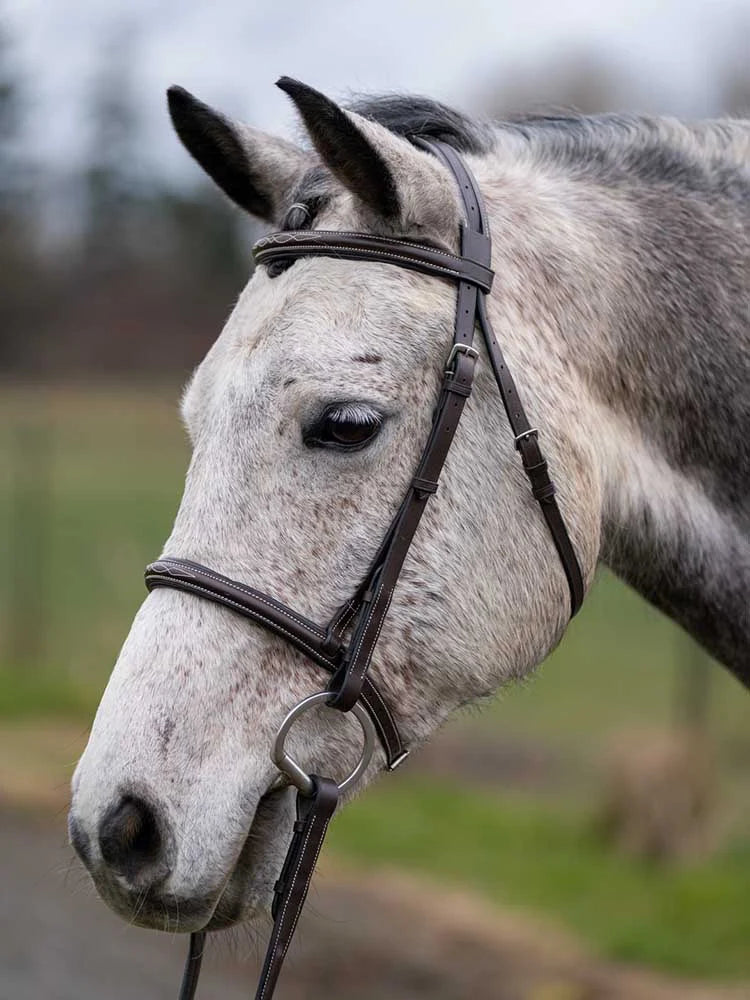 Grewal Equestrian - Thornberry Round Raised Hunter Bridle