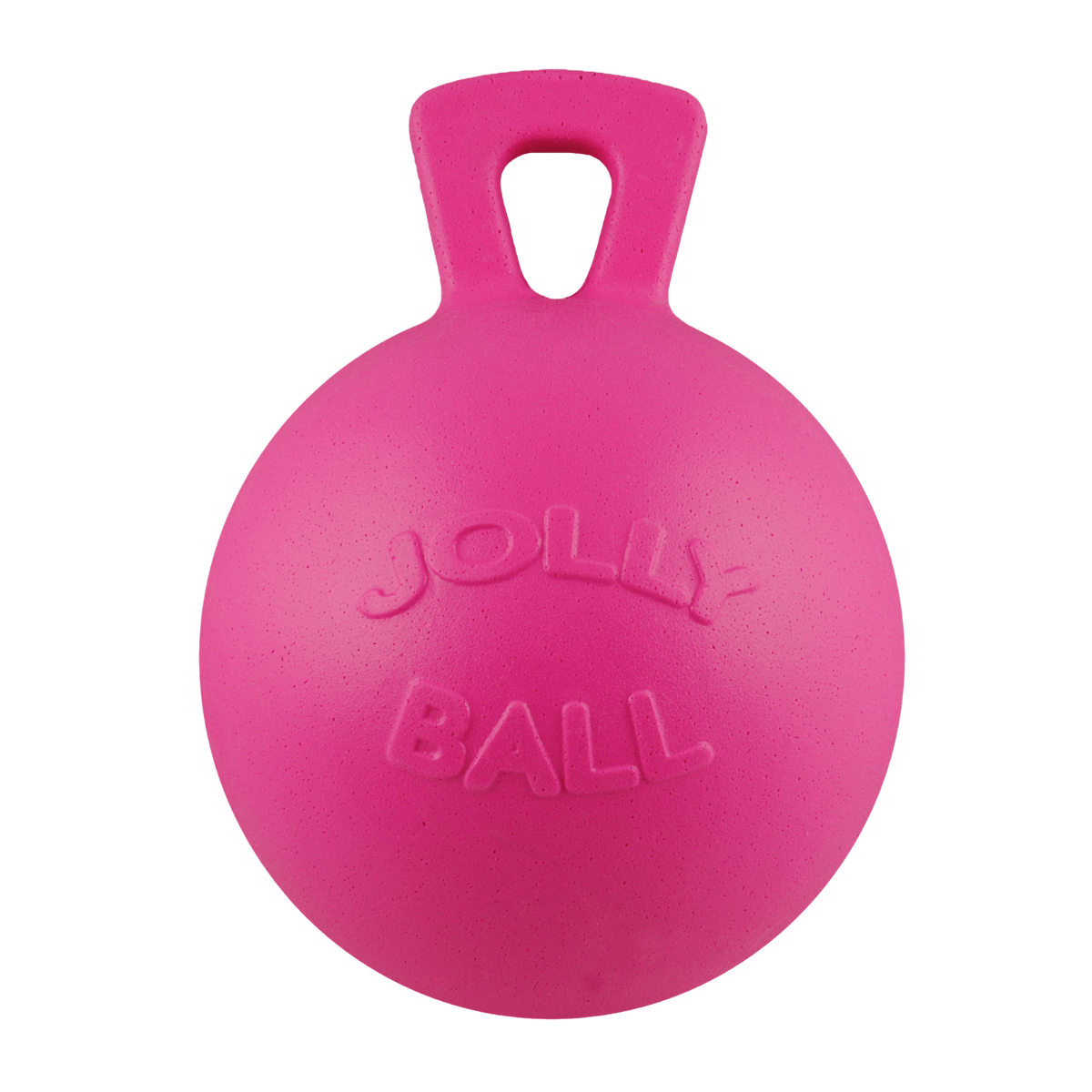 Jolly Pets Tug-n-Toss