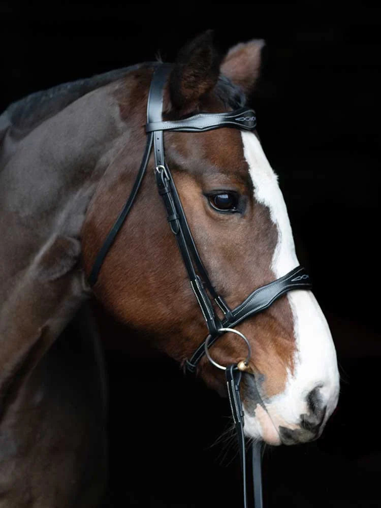 Grewal Equestrian - Vogue Scalloped Bridle