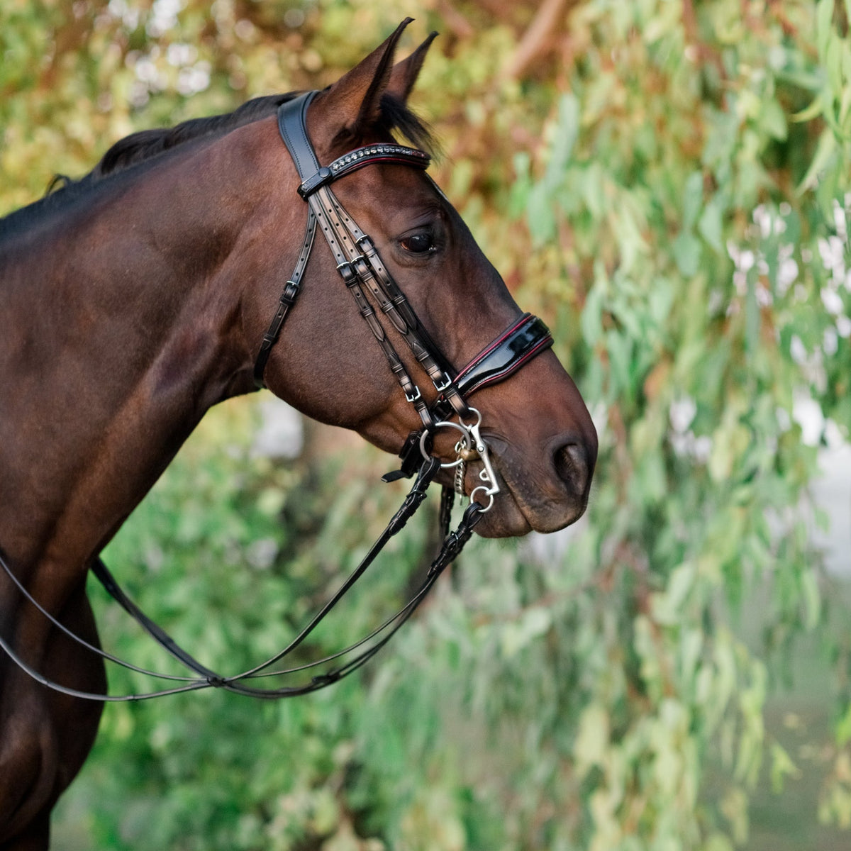 Halter Ego - The Hayworth Double - Black Patent Double Bridle