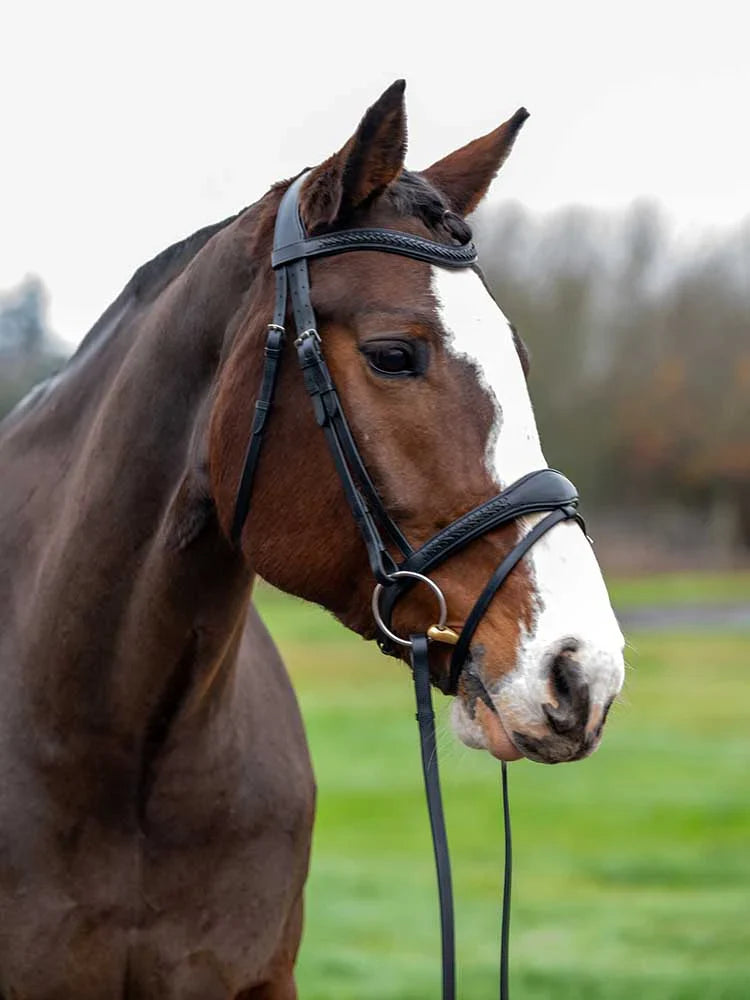Grewal Equestrian - Wicker Braided Monocrown Bridle