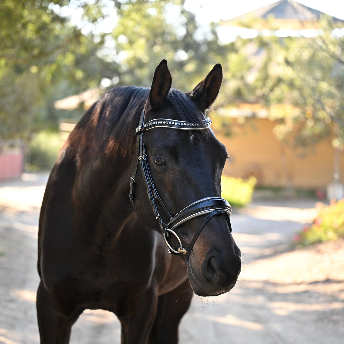 Halter Ego - The Eiffel Tower Black Leather Snaffle Bridle