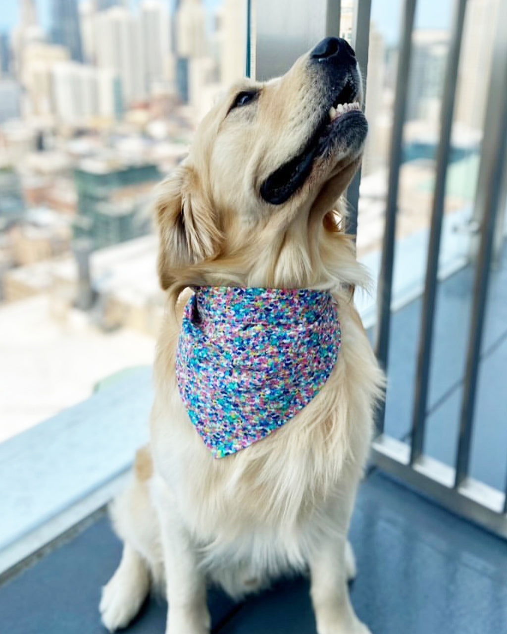 MODERNBEAST Party Bandana
