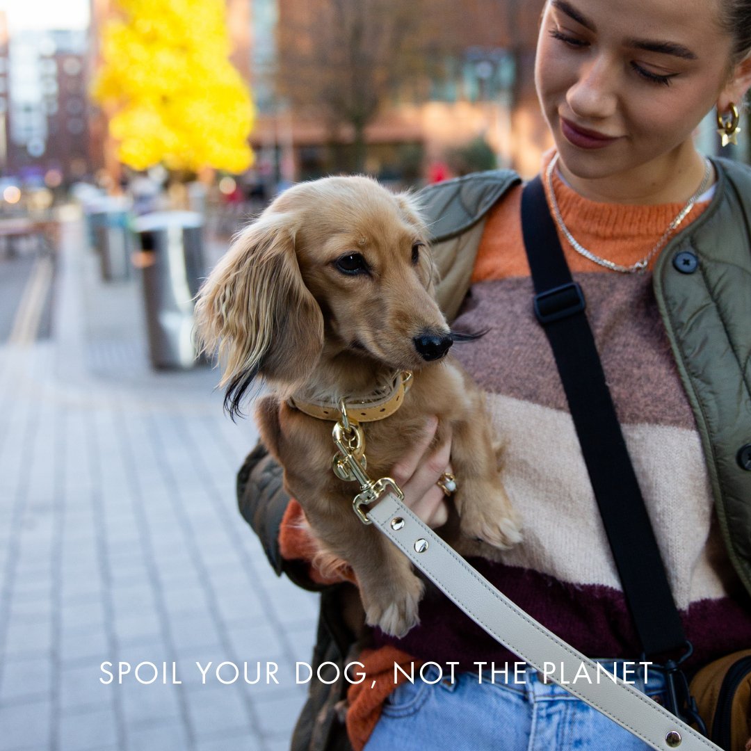 Nina Woof Collar - Vegan Leather - Copenhagen