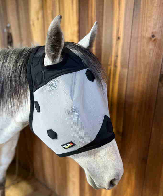 XLR8 Equine - Fly Mask