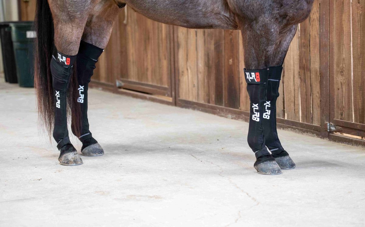 XLR8 Equine - G-Force Compression Boot
