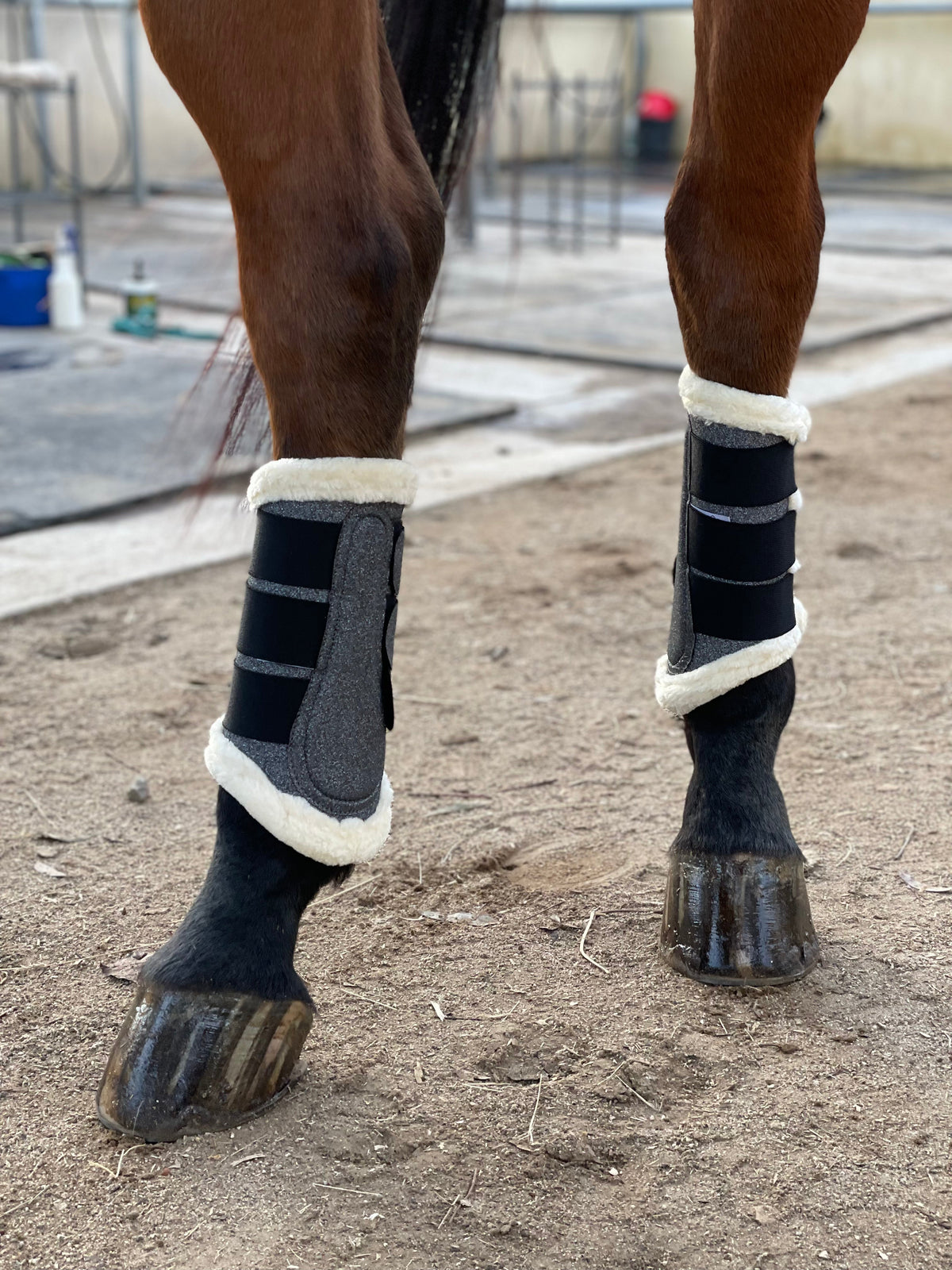 Halter Ego - Gunmetal Glitter Brushing Boots