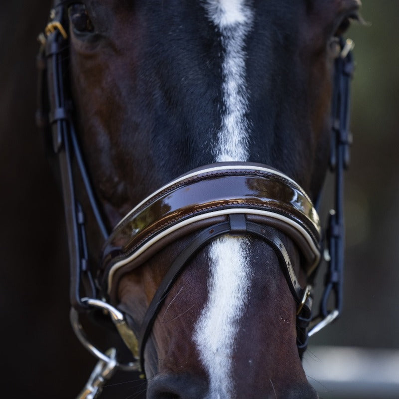 Halter Ego - The Catalonia Metallic Bronze Leather Snaffle Bridle with Removable Flash