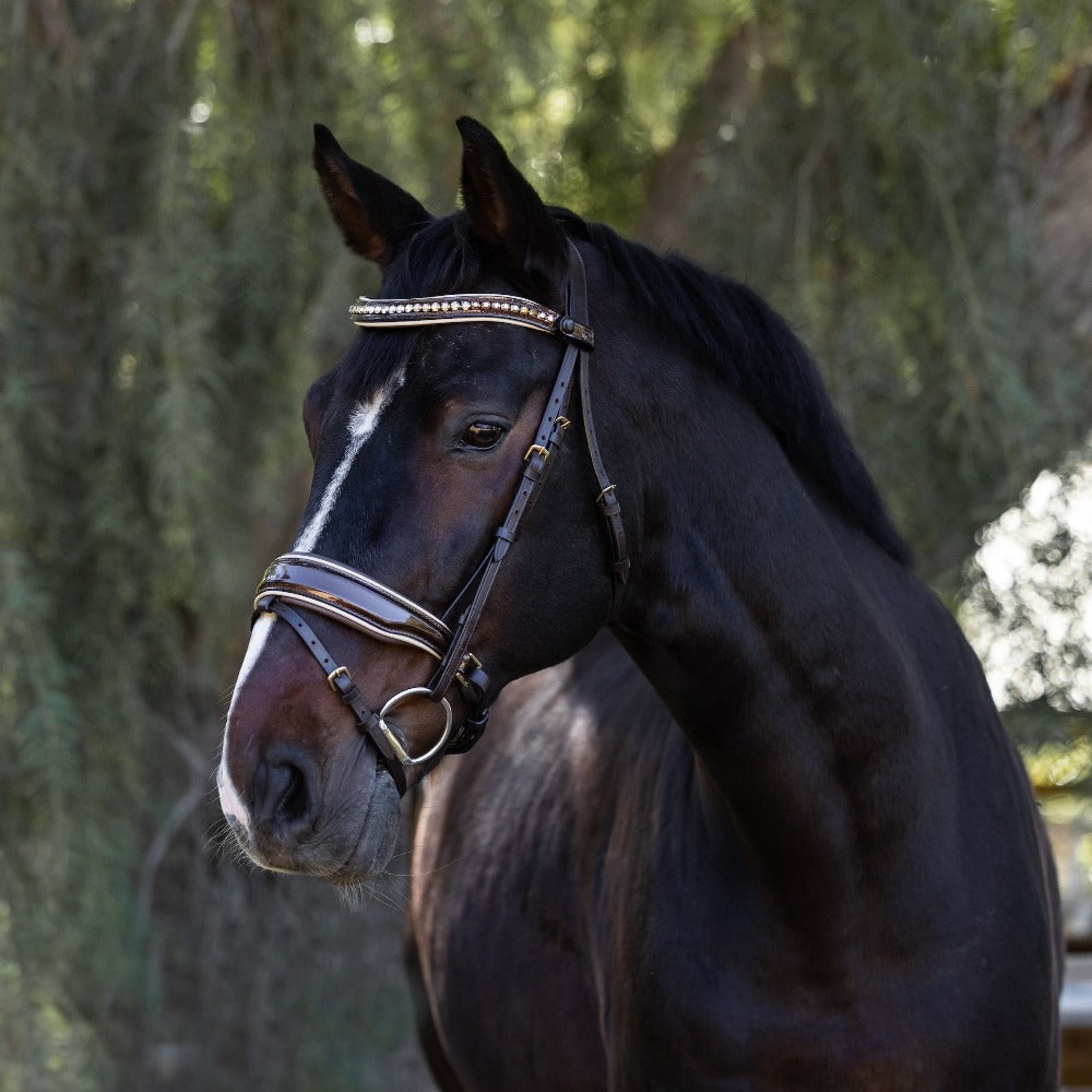 Halter Ego - The Catalonia Metallic Bronze Leather Snaffle Bridle with Removable Flash