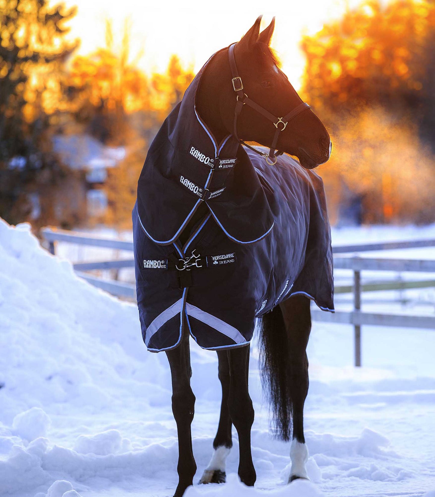 Rambo Duo Horse Turnout Blanket with Bag for Life, 1000D, Removable Liner