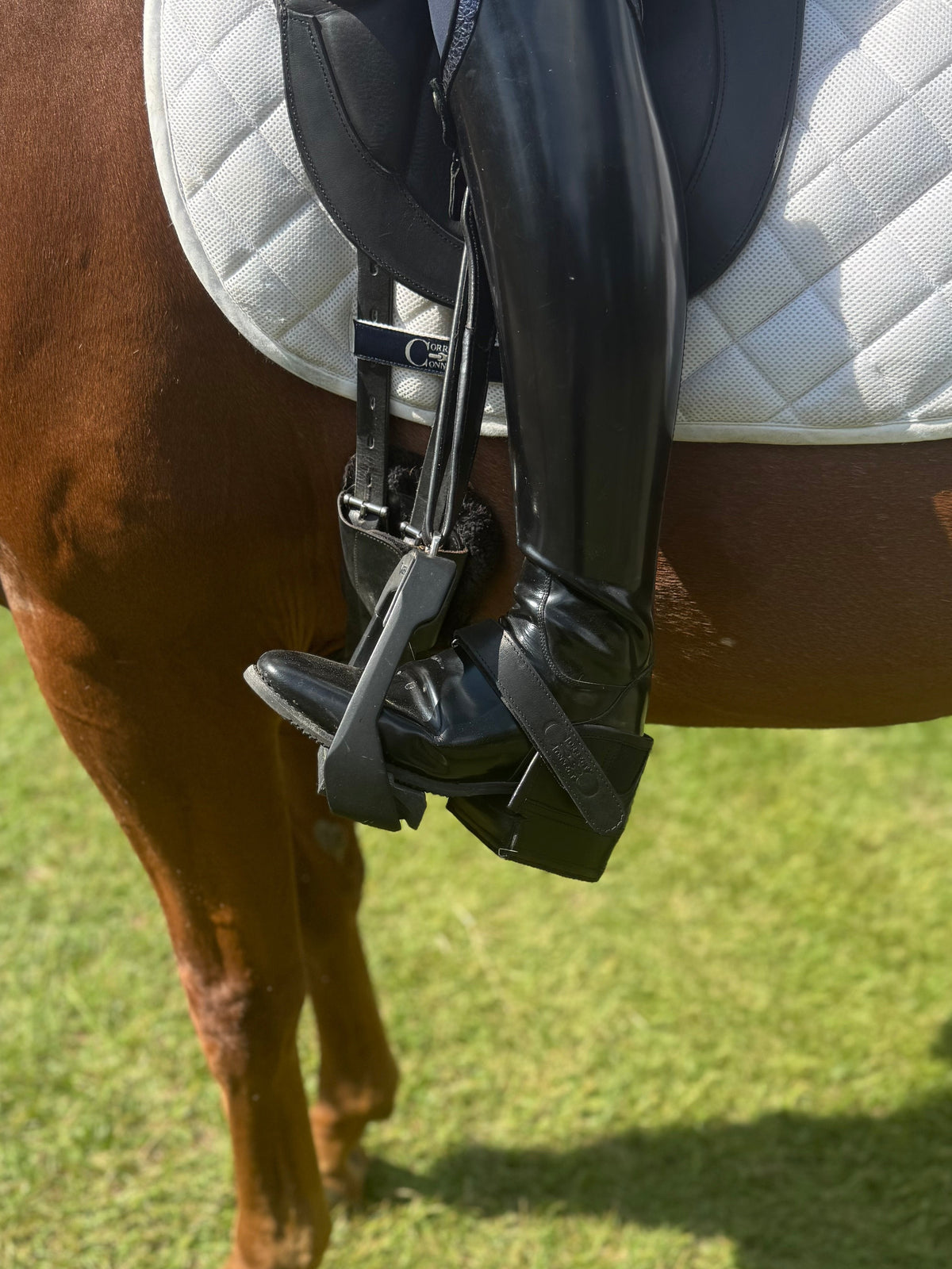 Correct Connect - Equisole EXternal-Weighted Training Aid for Equestrians