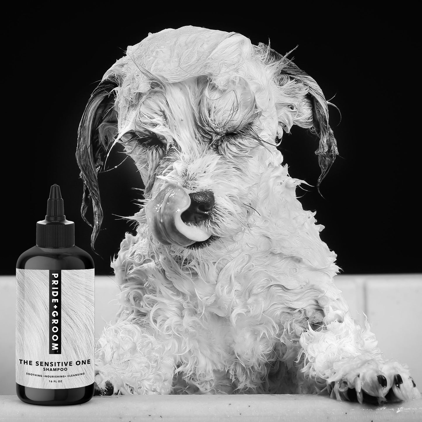 PRIDE+GROOM THE SENSITIVE ONE Hypoallergenic Dog & Puppy Shampoo — With Hemp Oil, Aloe & Oatmeal for Sensitive Skin