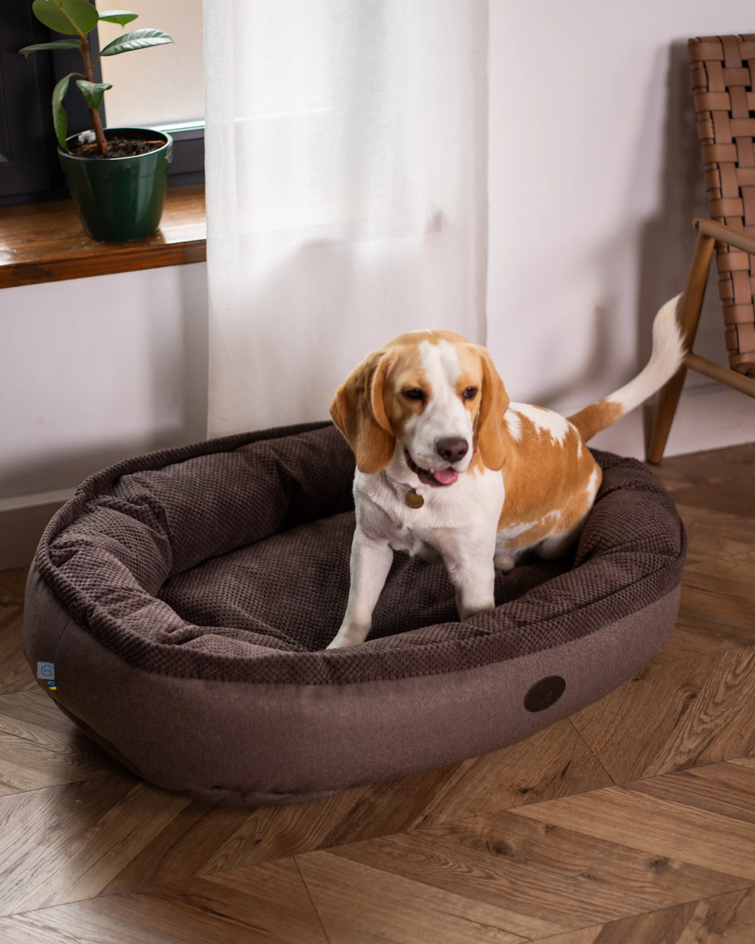 Chester & Lee Cuddly Bagel Dog Bed