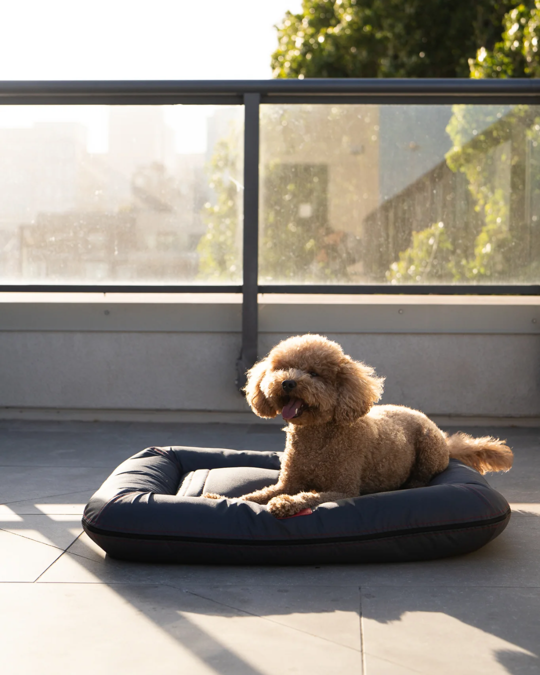Chester & Lee Waterproof Lounger Dog Bed Gray