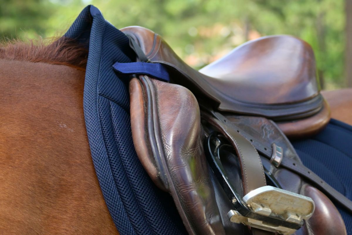 Correct Connect - Jump Mesh Saddle Pad with Quick Dry Cotton Lining in Navy, White, or Black