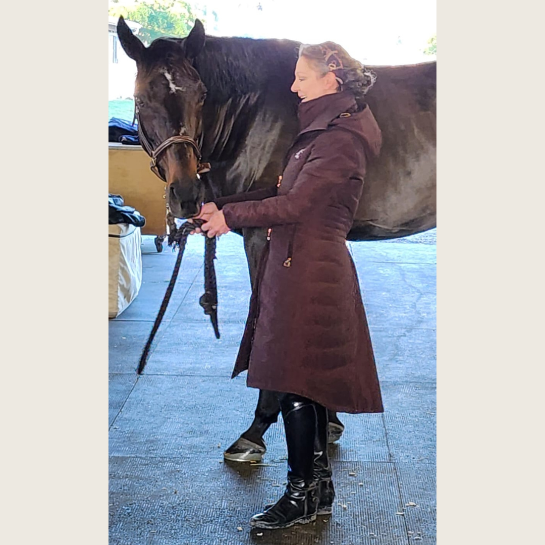 Dressage Queen Dream - Chocolate Brown Duck Down Riding Coat with Velvet Collar