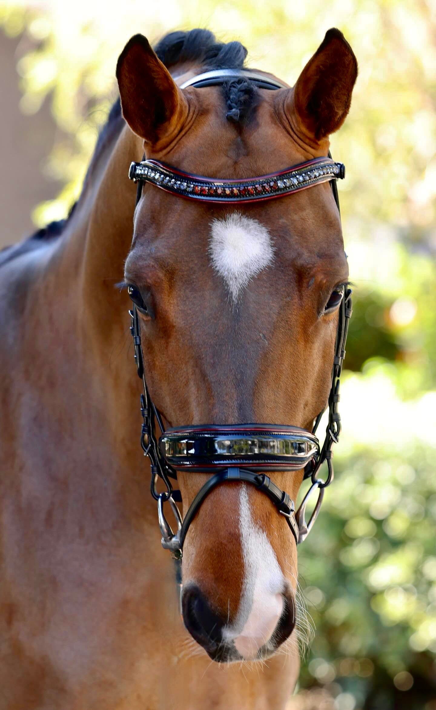 Halter Ego - The Hayworth - Black Patent Snaffle with Burgundy Patent Piping & Removable Flash
